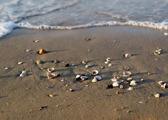 Welcoming In Lejlighed